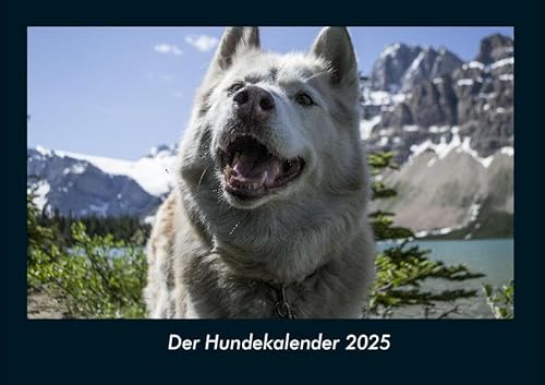 Der Hundekalender 2025 Fotokalender DIN A4: Monatskalender mit Bild-Motiven von Haustieren, Bauernhof, wilden Tieren und Raubtieren Der Hundekalender 2025 Fotokalender DIN A4: Monatskalender mit Bild-Motiven von Haustieren, Bauernhof, wilden Tieren und Raubtieren
