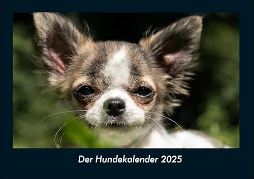 Der Hundekalender 2025 Fotokalender DIN A4: Monatskalender mit Bild-Motiven von Haustieren, Bauernhof, wilden Tieren und Raubtieren Der Hundekalender 2025 Fotokalender DIN A4: Monatskalender mit Bild-Motiven von Haustieren, Bauernhof, wilden Tieren und Raubtieren