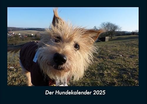 Der Hundekalender 2025 Fotokalender DIN A4: Monatskalender mit Bild-Motiven von Haustieren, Bauernhof, wilden Tieren und Raubtieren Der Hundekalender 2025 Fotokalender DIN A4: Monatskalender mit Bild-Motiven von Haustieren, Bauernhof, wilden Tieren und Raubtieren