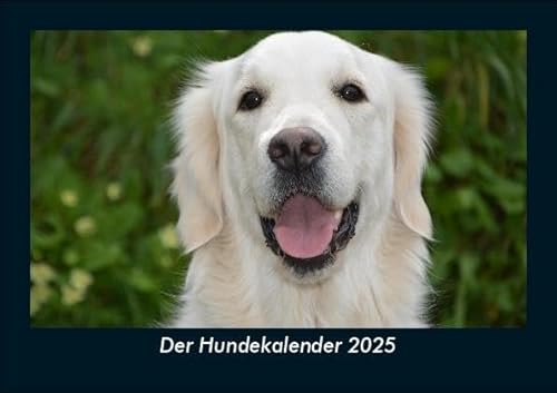 Der Hundekalender 2025 Fotokalender DIN A5: Monatskalender mit Bild-Motiven von Haustieren, Bauernhof, wilden Tieren und Raubtieren Der Hundekalender 2025 Fotokalender DIN A5: Monatskalender mit Bild-Motiven von Haustieren, Bauernhof, wilden Tieren und Raubtieren