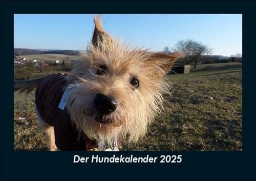 Der Hundekalender 2025 Fotokalender DIN A5: Monatskalender mit Bild-Motiven von Haustieren, Bauernhof, wilden Tieren und Raubtieren Der Hundekalender 2025 Fotokalender DIN A5: Monatskalender mit Bild-Motiven von Haustieren, Bauernhof, wilden Tieren und Raubtieren
