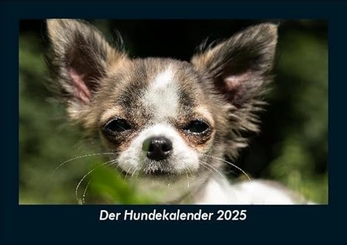 Der Hundekalender 2025 Fotokalender DIN A5: Monatskalender mit Bild-Motiven von Haustieren, Bauernhof, wilden Tieren und Raubtieren Der Hundekalender 2025 Fotokalender DIN A5: Monatskalender mit Bild-Motiven von Haustieren, Bauernhof, wilden Tieren und Raubtieren