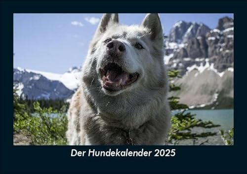 Der Hundekalender 2025 Fotokalender DIN A5: Monatskalender mit Bild-Motiven von Haustieren, Bauernhof, wilden Tieren und Raubtieren Der Hundekalender 2025 Fotokalender DIN A5: Monatskalender mit Bild-Motiven von Haustieren, Bauernhof, wilden Tieren und Raubtieren