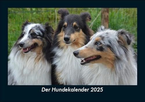 Der Hundekalender 2025 Fotokalender DIN A5: Monatskalender mit Bild-Motiven von Haustieren, Bauernhof, wilden Tieren und Raubtieren Der Hundekalender 2025 Fotokalender DIN A5: Monatskalender mit Bild-Motiven von Haustieren, Bauernhof, wilden Tieren und Raubtieren