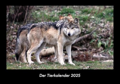 Der Tierkalender 2025 Fotokalender DIN A3: Monatskalender mit Bild-Motiven von Haustieren, Bauernhof, wilden Tieren und Raubtieren Der Tierkalender 2025 Fotokalender DIN A3: Monatskalender mit Bild-Motiven von Haustieren, Bauernhof, wilden Tieren und Raubtieren