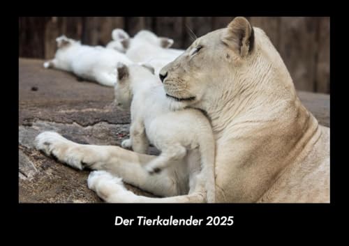 Der Tierkalender 2025 Fotokalender DIN A3: Monatskalender mit Bild-Motiven von Haustieren, Bauernhof, wilden Tieren und Raubtieren Der Tierkalender 2025 Fotokalender DIN A3: Monatskalender mit Bild-Motiven von Haustieren, Bauernhof, wilden Tieren und Raubtieren