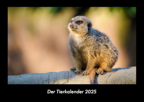 Der Tierkalender 2025 Fotokalender DIN A3: Monatskalender mit Bild-Motiven von Haustieren, Bauernhof, wilden Tieren und Raubtieren Der Tierkalender 2025 Fotokalender DIN A3: Monatskalender mit Bild-Motiven von Haustieren, Bauernhof, wilden Tieren und Raubtieren