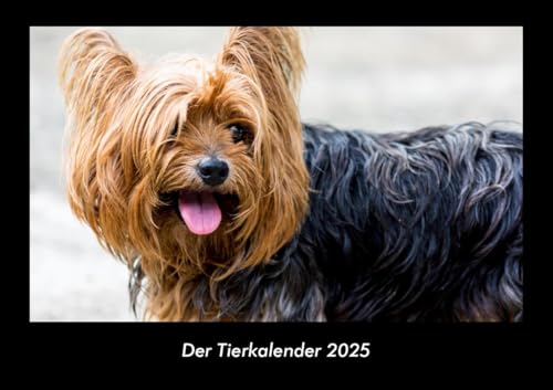 Der Tierkalender 2025 Fotokalender DIN A3: Monatskalender mit Bild-Motiven von Haustieren, Bauernhof, wilden Tieren und Raubtieren Der Tierkalender 2025 Fotokalender DIN A3: Monatskalender mit Bild-Motiven von Haustieren, Bauernhof, wilden Tieren und Raubtieren
