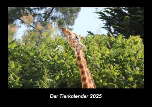Der Tierkalender 2025 Fotokalender DIN A3: Monatskalender mit Bild-Motiven von Haustieren, Bauernhof, wilden Tieren und Raubtieren Der Tierkalender 2025 Fotokalender DIN A3: Monatskalender mit Bild-Motiven von Haustieren, Bauernhof, wilden Tieren und Raubtieren
