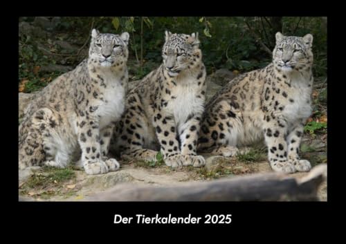Der Tierkalender 2025 Fotokalender DIN A3: Monatskalender mit Bild-Motiven von Haustieren, Bauernhof, wilden Tieren und Raubtieren Der Tierkalender 2025 Fotokalender DIN A3: Monatskalender mit Bild-Motiven von Haustieren, Bauernhof, wilden Tieren und Raubtieren