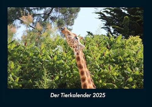 Der Tierkalender 2025 Fotokalender DIN A4: Monatskalender mit Bild-Motiven von Haustieren, Bauernhof, wilden Tieren und Raubtieren Der Tierkalender 2025 Fotokalender DIN A4: Monatskalender mit Bild-Motiven von Haustieren, Bauernhof, wilden Tieren und Raubtieren