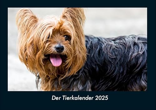 Der Tierkalender 2025 Fotokalender DIN A4: Monatskalender mit Bild-Motiven von Haustieren, Bauernhof, wilden Tieren und Raubtieren Der Tierkalender 2025 Fotokalender DIN A4: Monatskalender mit Bild-Motiven von Haustieren, Bauernhof, wilden Tieren und Raubtieren