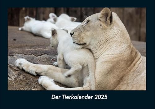 Der Tierkalender 2025 Fotokalender DIN A4: Monatskalender mit Bild-Motiven von Haustieren, Bauernhof, wilden Tieren und Raubtieren Der Tierkalender 2025 Fotokalender DIN A4: Monatskalender mit Bild-Motiven von Haustieren, Bauernhof, wilden Tieren und Raubtieren