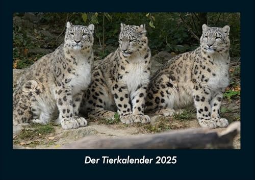 Der Tierkalender 2025 Fotokalender DIN A4: Monatskalender mit Bild-Motiven von Haustieren, Bauernhof, wilden Tieren und Raubtieren Der Tierkalender 2025 Fotokalender DIN A4: Monatskalender mit Bild-Motiven von Haustieren, Bauernhof, wilden Tieren und Raubtieren