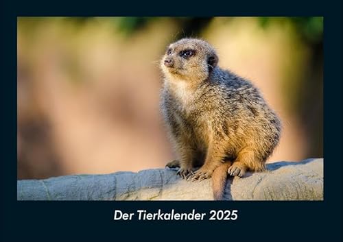 Der Tierkalender 2025 Fotokalender DIN A4: Monatskalender mit Bild-Motiven von Haustieren, Bauernhof, wilden Tieren und Raubtieren Der Tierkalender 2025 Fotokalender DIN A4: Monatskalender mit Bild-Motiven von Haustieren, Bauernhof, wilden Tieren und Raubtieren