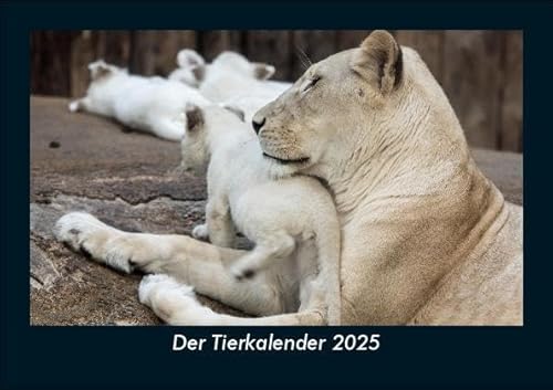 Der Tierkalender 2025 Fotokalender DIN A5: Monatskalender mit Bild-Motiven von Haustieren, Bauernhof, wilden Tieren und Raubtieren Der Tierkalender 2025 Fotokalender DIN A5: Monatskalender mit Bild-Motiven von Haustieren, Bauernhof, wilden Tieren und Raubtieren