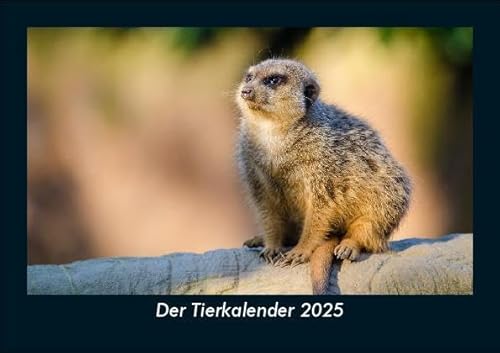 Der Tierkalender 2025 Fotokalender DIN A5: Monatskalender mit Bild-Motiven von Haustieren, Bauernhof, wilden Tieren und Raubtieren Der Tierkalender 2025 Fotokalender DIN A5: Monatskalender mit Bild-Motiven von Haustieren, Bauernhof, wilden Tieren und Raubtieren