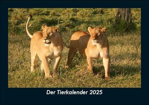 Der Tierkalender 2025 Fotokalender DIN A5: Monatskalender mit Bild-Motiven von Haustieren, Bauernhof, wilden Tieren und Raubtieren Der Tierkalender 2025 Fotokalender DIN A5: Monatskalender mit Bild-Motiven von Haustieren, Bauernhof, wilden Tieren und Raubtieren
