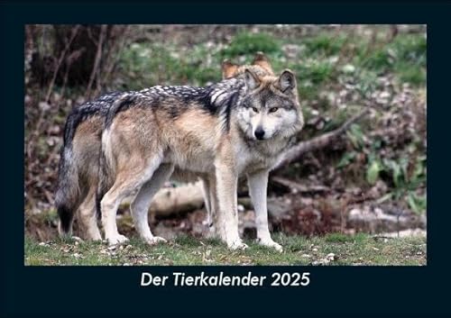 Der Tierkalender 2025 Fotokalender DIN A5: Monatskalender mit Bild-Motiven von Haustieren, Bauernhof, wilden Tieren und Raubtieren Der Tierkalender 2025 Fotokalender DIN A5: Monatskalender mit Bild-Motiven von Haustieren, Bauernhof, wilden Tieren und Raubtieren