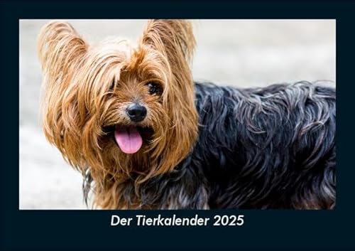 Der Tierkalender 2025 Fotokalender DIN A5: Monatskalender mit Bild-Motiven von Haustieren, Bauernhof, wilden Tieren und Raubtieren Der Tierkalender 2025 Fotokalender DIN A5: Monatskalender mit Bild-Motiven von Haustieren, Bauernhof, wilden Tieren und Raubtieren