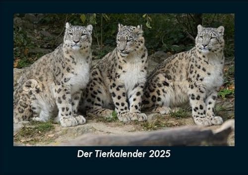 Der Tierkalender 2025 Fotokalender DIN A5: Monatskalender mit Bild-Motiven von Haustieren, Bauernhof, wilden Tieren und Raubtieren Der Tierkalender 2025 Fotokalender DIN A5: Monatskalender mit Bild-Motiven von Haustieren, Bauernhof, wilden Tieren und Raubtieren