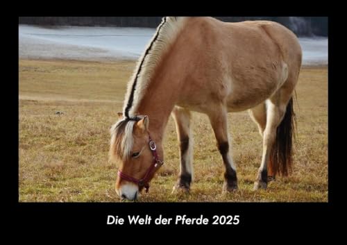 Die Welt der Pferde 2025 Fotokalender DIN A3: Monatskalender mit Bild-Motiven aus Fauna und Flora, Natur, Blumen und Pflanzen Die Welt der Pferde 2025 Fotokalender DIN A3: Monatskalender mit Bild-Motiven aus Fauna und Flora, Natur, Blumen und Pflanzen