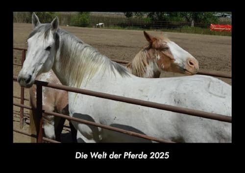 Die Welt der Pferde 2025 Fotokalender DIN A3: Monatskalender mit Bild-Motiven von Haustieren, Bauernhof, wilden Tieren und Raubtieren Die Welt der Pferde 2025 Fotokalender DIN A3: Monatskalender mit Bild-Motiven von Haustieren, Bauernhof, wilden Tieren und Raubtieren