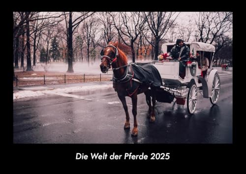 Die Welt der Pferde 2025 Fotokalender DIN A3: Monatskalender mit Bild-Motiven von Haustieren, Bauernhof, wilden Tieren und Raubtieren Die Welt der Pferde 2025 Fotokalender DIN A3: Monatskalender mit Bild-Motiven von Haustieren, Bauernhof, wilden Tieren und Raubtieren