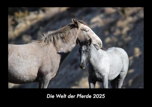 Die Welt der Pferde 2025 Fotokalender DIN A3: Monatskalender mit Bild-Motiven von Haustieren, Bauernhof, wilden Tieren und Raubtieren Die Welt der Pferde 2025 Fotokalender DIN A3: Monatskalender mit Bild-Motiven von Haustieren, Bauernhof, wilden Tieren und Raubtieren