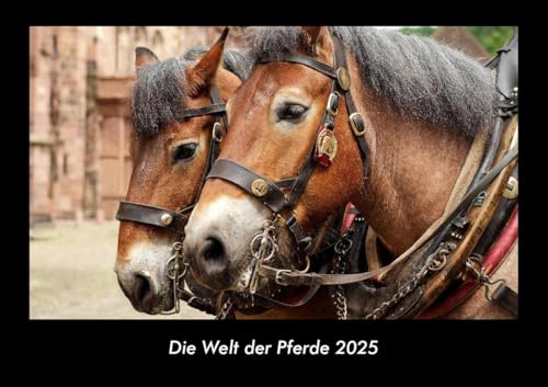 Die Welt der Pferde 2025 Fotokalender DIN A3: Monatskalender mit Bild-Motiven von Haustieren, Bauernhof, wilden Tieren und Raubtieren Die Welt der Pferde 2025 Fotokalender DIN A3: Monatskalender mit Bild-Motiven von Haustieren, Bauernhof, wilden Tieren und Raubtieren