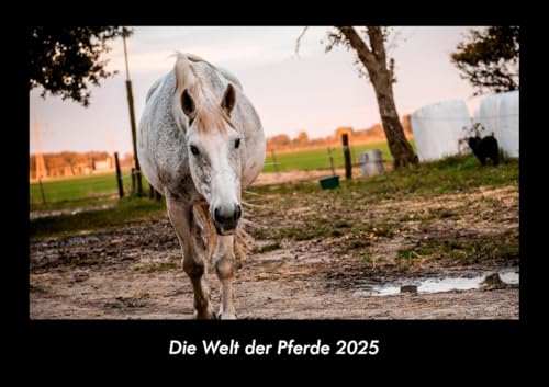 Die Welt der Pferde 2025 Fotokalender DIN A3: Monatskalender mit Bild-Motiven von Haustieren, Bauernhof, wilden Tieren und Raubtieren Die Welt der Pferde 2025 Fotokalender DIN A3: Monatskalender mit Bild-Motiven von Haustieren, Bauernhof, wilden Tieren und Raubtieren