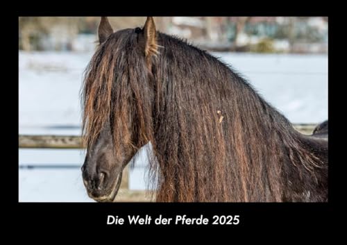 Die Welt der Pferde 2025 Fotokalender DIN A3: Monatskalender mit Bild-Motiven von Haustieren, Bauernhof, wilden Tieren und Raubtieren Die Welt der Pferde 2025 Fotokalender DIN A3: Monatskalender mit Bild-Motiven von Haustieren, Bauernhof, wilden Tieren und Raubtieren