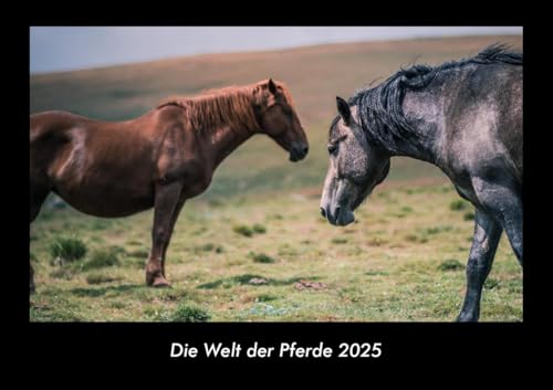 Die Welt der Pferde 2025 Fotokalender DIN A3: Monatskalender mit Bild-Motiven von Haustieren, Bauernhof, wilden Tieren und Raubtieren Die Welt der Pferde 2025 Fotokalender DIN A3: Monatskalender mit Bild-Motiven von Haustieren, Bauernhof, wilden Tieren und Raubtieren