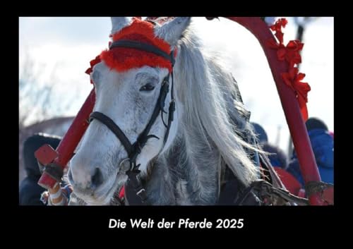 Die Welt der Pferde 2025 Fotokalender DIN A3: Monatskalender mit Bild-Motiven von Haustieren, Bauernhof, wilden Tieren und Raubtieren Die Welt der Pferde 2025 Fotokalender DIN A3: Monatskalender mit Bild-Motiven von Haustieren, Bauernhof, wilden Tieren und Raubtieren