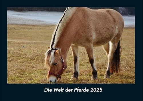 Die Welt der Pferde 2025 Fotokalender DIN A4: Monatskalender mit Bild-Motiven aus Fauna und Flora, Natur, Blumen und Pflanzen Die Welt der Pferde 2025 Fotokalender DIN A4: Monatskalender mit Bild-Motiven aus Fauna und Flora, Natur, Blumen und Pflanzen