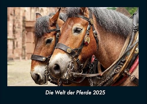 Die Welt der Pferde 2025 Fotokalender DIN A4: Monatskalender mit Bild-Motiven von Haustieren, Bauernhof, wilden Tieren und Raubtieren Die Welt der Pferde 2025 Fotokalender DIN A4: Monatskalender mit Bild-Motiven von Haustieren, Bauernhof, wilden Tieren und Raubtieren