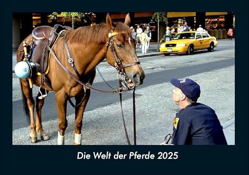 Die Welt der Pferde 2025 Fotokalender DIN A4: Monatskalender mit Bild-Motiven von Haustieren, Bauernhof, wilden Tieren und Raubtieren Die Welt der Pferde 2025 Fotokalender DIN A4: Monatskalender mit Bild-Motiven von Haustieren, Bauernhof, wilden Tieren und Raubtieren