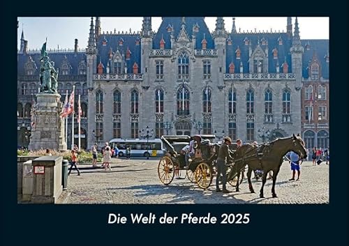 Die Welt der Pferde 2025 Fotokalender DIN A4: Monatskalender mit Bild-Motiven von Haustieren, Bauernhof, wilden Tieren und Raubtieren Die Welt der Pferde 2025 Fotokalender DIN A4: Monatskalender mit Bild-Motiven von Haustieren, Bauernhof, wilden Tieren und Raubtieren