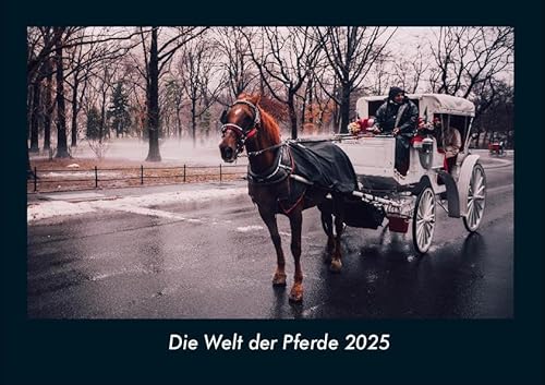 Die Welt der Pferde 2025 Fotokalender DIN A4: Monatskalender mit Bild-Motiven von Haustieren, Bauernhof, wilden Tieren und Raubtieren Die Welt der Pferde 2025 Fotokalender DIN A4: Monatskalender mit Bild-Motiven von Haustieren, Bauernhof, wilden Tieren und Raubtieren