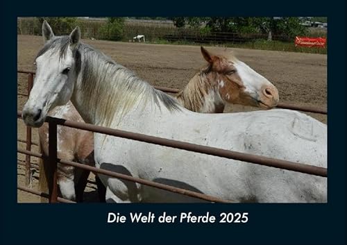 Die Welt der Pferde 2025 Fotokalender DIN A4: Monatskalender mit Bild-Motiven von Haustieren, Bauernhof, wilden Tieren und Raubtieren Die Welt der Pferde 2025 Fotokalender DIN A4: Monatskalender mit Bild-Motiven von Haustieren, Bauernhof, wilden Tieren und Raubtieren