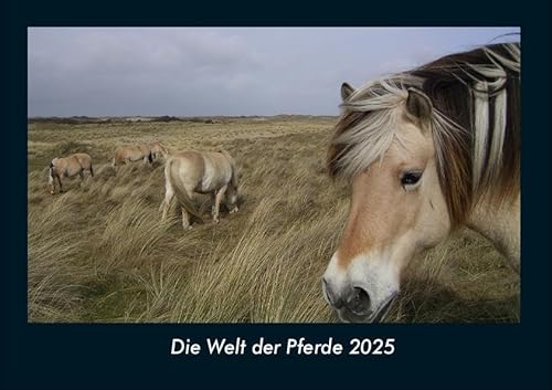 Die Welt der Pferde 2025 Fotokalender DIN A4: Monatskalender mit Bild-Motiven von Haustieren, Bauernhof, wilden Tieren und Raubtieren Die Welt der Pferde 2025 Fotokalender DIN A4: Monatskalender mit Bild-Motiven von Haustieren, Bauernhof, wilden Tieren und Raubtieren