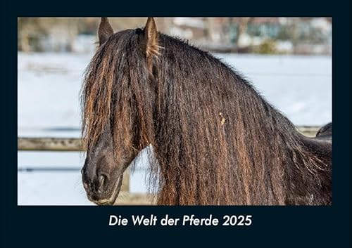 Die Welt der Pferde 2025 Fotokalender DIN A4: Monatskalender mit Bild-Motiven von Haustieren, Bauernhof, wilden Tieren und Raubtieren Die Welt der Pferde 2025 Fotokalender DIN A4: Monatskalender mit Bild-Motiven von Haustieren, Bauernhof, wilden Tieren und Raubtieren