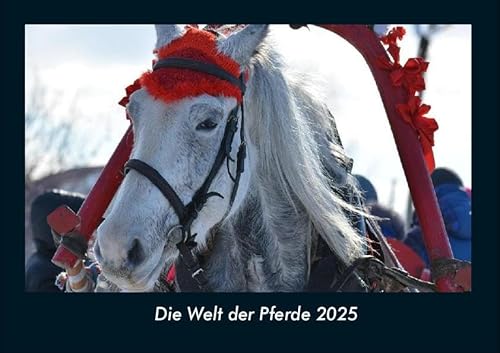 Die Welt der Pferde 2025 Fotokalender DIN A4: Monatskalender mit Bild-Motiven von Haustieren, Bauernhof, wilden Tieren und Raubtieren Die Welt der Pferde 2025 Fotokalender DIN A4: Monatskalender mit Bild-Motiven von Haustieren, Bauernhof, wilden Tieren und Raubtieren