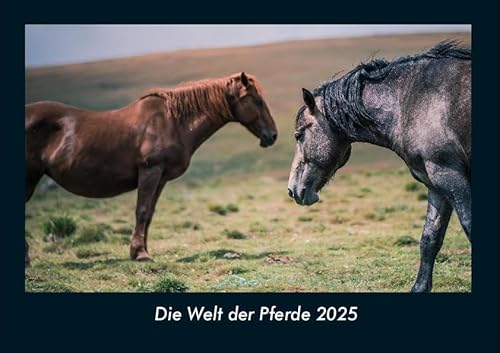 Die Welt der Pferde 2025 Fotokalender DIN A4: Monatskalender mit Bild-Motiven von Haustieren, Bauernhof, wilden Tieren und Raubtieren Die Welt der Pferde 2025 Fotokalender DIN A4: Monatskalender mit Bild-Motiven von Haustieren, Bauernhof, wilden Tieren und Raubtieren
