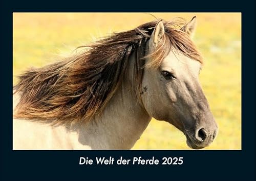 Die Welt der Pferde 2025 Fotokalender DIN A4: Monatskalender mit Bild-Motiven von Haustieren, Bauernhof, wilden Tieren und Raubtieren Die Welt der Pferde 2025 Fotokalender DIN A4: Monatskalender mit Bild-Motiven von Haustieren, Bauernhof, wilden Tieren und Raubtieren