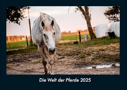 Die Welt der Pferde 2025 Fotokalender DIN A4: Monatskalender mit Bild-Motiven von Haustieren, Bauernhof, wilden Tieren und Raubtieren Die Welt der Pferde 2025 Fotokalender DIN A4: Monatskalender mit Bild-Motiven von Haustieren, Bauernhof, wilden Tieren und Raubtieren