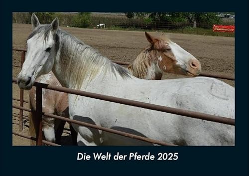 Die Welt der Pferde 2025 Fotokalender DIN A4: Monatskalender mit Bild-Motiven von Haustieren, Bauernhof, wilden Tieren und Raubtieren Die Welt der Pferde 2025 Fotokalender DIN A4: Monatskalender mit Bild-Motiven von Haustieren, Bauernhof, wilden Tieren und Raubtieren