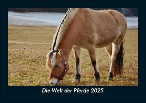 Die Welt der Pferde 2025 Fotokalender DIN A5: Monatskalender mit Bild-Motiven aus Fauna und Flora, Natur, Blumen und Pflanzen Die Welt der Pferde 2025 Fotokalender DIN A5: Monatskalender mit Bild-Motiven aus Fauna und Flora, Natur, Blumen und Pflanzen