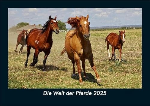 Die Welt der Pferde 2025 Fotokalender DIN A5: Monatskalender mit Bild-Motiven vom Sport, Fussball, Hockey, Football, Handball, Schwimmen Die Welt der Pferde 2025 Fotokalender DIN A5: Monatskalender mit Bild-Motiven vom Sport, Fussball, Hockey, Football, Handball, Schwimmen