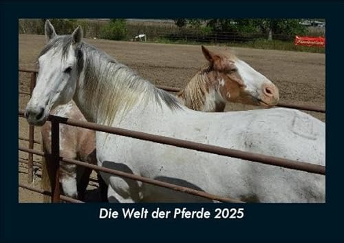 Die Welt der Pferde 2025 Fotokalender DIN A5: Monatskalender mit Bild-Motiven von Haustieren, Bauernhof, wilden Tieren und Raubtieren Die Welt der Pferde 2025 Fotokalender DIN A5: Monatskalender mit Bild-Motiven von Haustieren, Bauernhof, wilden Tieren und Raubtieren